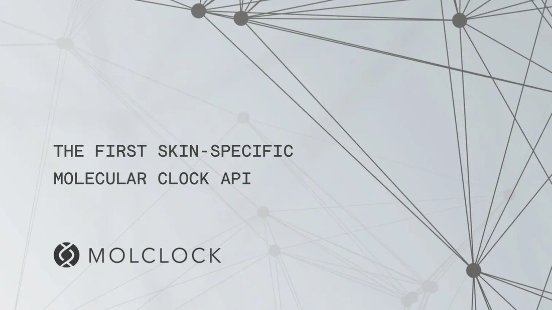 MolClock: Using Epigenetics to Measure The Biological Age of Skin